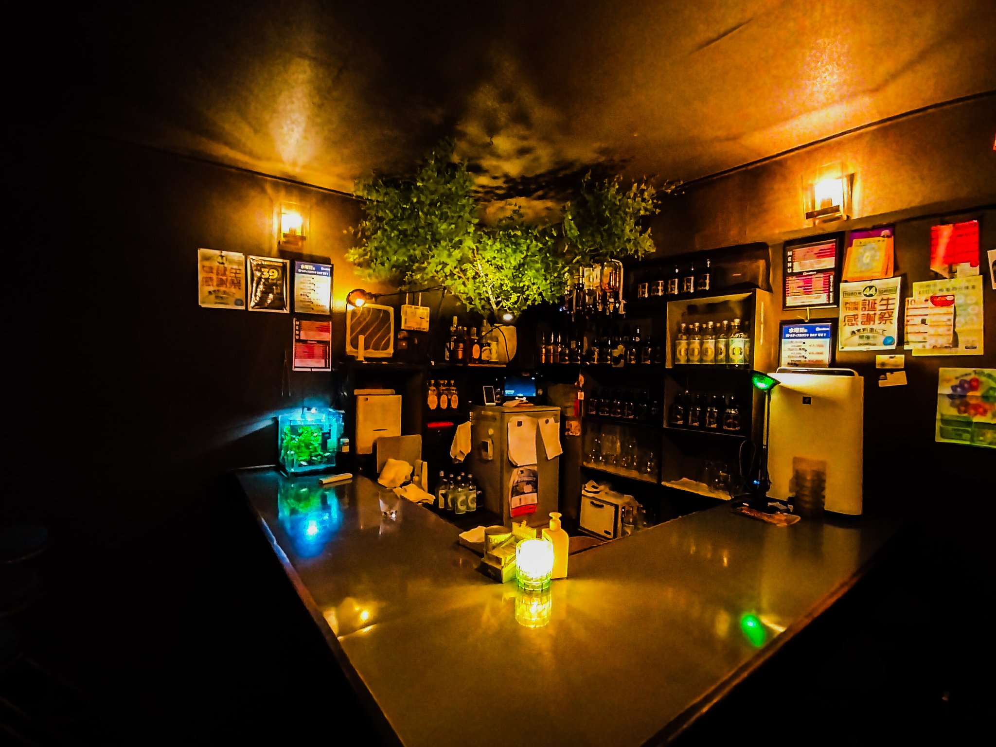 Image of Bar Sneakers